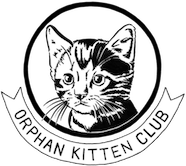 cropped-OKC_LogoCutOut_200x243-1